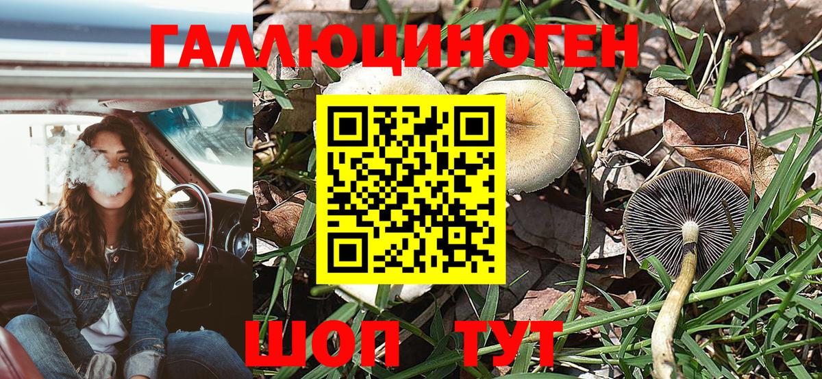 Псилоцибиновые грибы Cubensis Батайск